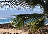 2025-03-10/3edee8d2-07a7-48bb-aea2-b48f61619025