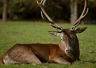 2025-03-10/e20fd5f5-33dc-4383-b2fa-e8eb9004d2d2