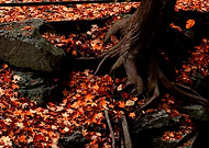 2025-03-12/37530fed-547a-4151-a287-07bc7e0e2eb7