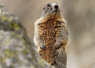 2025-03-12/8732d53f-8417-40aa-862d-79aa173356cb