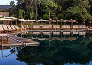 2025-03-13/647c1617-850b-474c-872c-f9d86e40273d