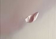 2025-03-13/ca0e20ee-e0e8-49a8-9347-09926f799ebb