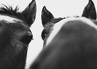 2025-03-14/6f56dd3f-22dc-418e-a58b-e71e6e355292