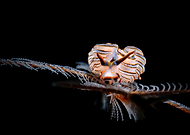 2025-03-16/497da09d-a685-44c8-9999-3f5a397c7c97