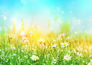 2025-03-16/c6fdc841-57ae-4f85-ae8a-39ab1bef512c