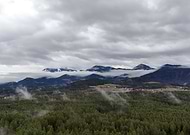 2025-03-17/6c372dbd-aa6c-4b71-b1ee-88a74b74beed