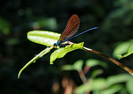 2025-03-19/a4af2e18-ce50-4bda-a102-1f199cfa84f2