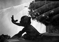 2025-03-24/cc48dec8-8b5c-48d3-a591-f7d51dae2de5