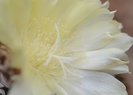 2025-03-27/aa5d999b-2dbb-49a3-bb04-f1dcf634f4fd