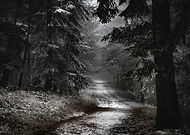 2025-03-27/ea3c6e35-8f66-46a0-b0b9-69f289ca97f9