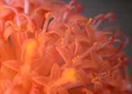 2025-03-27/f87b60f8-a91e-4670-8dfb-924f8f2e1af2