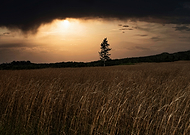 2025-03-29/8b7fec04-cfff-4362-8e9b-51c716fc18da