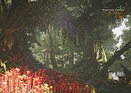 collection-preview-0