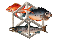 2025-03-31/b30d3a7d-f3b5-4ae7-9783-17cd42c3d67c