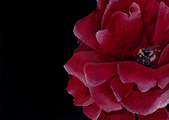 2025-03-31/c039001c-51d3-4b64-a63e-f8d1a733aa37