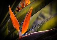 2025-04-04/7d42f0e9-48e5-43ad-a997-31b3a144ccc1