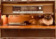 2025-04-06/81df8ca9-7806-4dcc-bc5b-d83ef3b7d41c