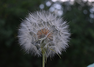 2025-04-07/813d5c61-9377-47ae-b05c-511c074beae7