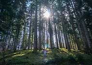 2025-04-14/387ee018-e5f2-4257-9dc4-7a859a247ffb