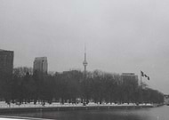 2025-04-14/86f83e12-553b-45d3-a0ca-b01cb0346ac3