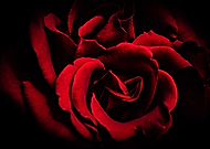 2025-04-17/3036bd80-ad16-46b4-8609-2329d99061b3