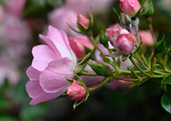 2025-04-17/8ba5ee4b-e5c6-41eb-b6ea-983f6ef11683