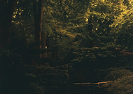 2025-04-20/41db2c13-811f-4717-b87f-fbe90c6c2a5a