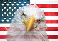 2025-04-24/48eb6790-1235-4b5c-8843-9db043e3218a