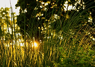 2025-04-24/6e9a87d2-50ac-4124-92d3-dc606502416e