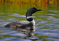 2025-04-28/40e13eb4-0235-42ae-a7a8-8e6cebb51346