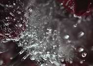 2025-04-28/44efce8f-46ff-4610-98a7-a2a3a3a6a4a9