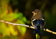 2025-04-30/27ab0061-3f20-48d7-b8b9-b64ed349ed9e