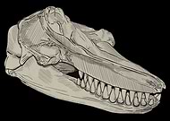 2025-05-01/202f0aaf-6eab-478e-873c-735e9dc3e2c0