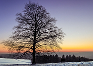 2025-05-01/c86f4add-2dd8-4738-846c-972ce07c37d2