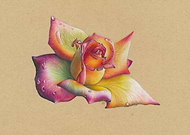 2025-05-03/95ffde1a-bf09-4d89-8bf2-0c81cd4a1fce