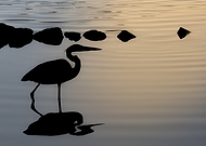 2025-05-07/6c23522b-7a33-4f68-916a-34bc4501fa1b