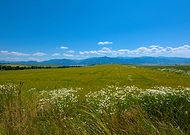 2025-05-11/411e4211-5032-46d3-aaff-ef1104257d82