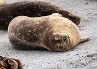 2025-05-12/5d25647b-dae2-4deb-b5a2-0925c2d63252