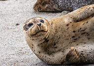 2025-05-12/ffbc626d-fa80-428c-9afa-7068cd033419