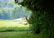 2025-05-13/7bd8a4ca-bed8-4c13-8529-514b8142e622