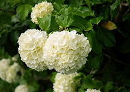 2025-05-13/f0eecebe-5b8e-45d7-9b69-a71265ea0486