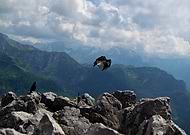 2025-05-20/968c4131-3e4d-4bab-b4a9-7f61e7c25eb9