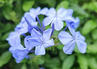 2025-05-22/8728a32a-af95-49e6-bb44-4bd8173dc7d6