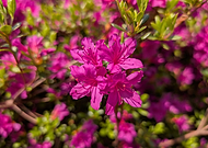 2025-05-23/2b3e5a89-7c9b-4c22-9e7d-72ea984891ed