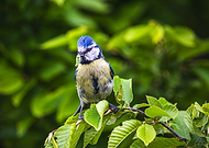 2025-05-23/a6aca6c3-7491-41bb-8696-edfdd6aadd07