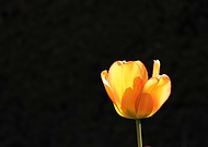 2025-05-25/317a3773-ea1e-4f67-991e-87665fbe244b