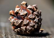 2025-05-25/715212e9-c242-48aa-b135-cb8769efa7be