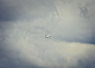 2025-05-26/eae8b4ee-79de-4ca8-bc18-26ff3312964d