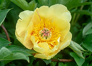 2025-05-28/393ca3b7-f74a-49c8-965e-aebb040c3022