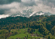 2025-05-28/6e9cdbba-e212-49d8-9542-d6bc9d710605